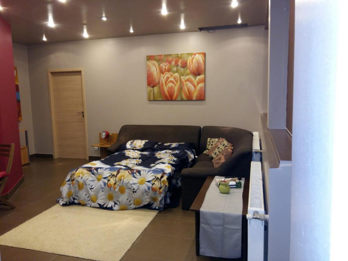 Penthouse Larry Apartman Bukarest Kültér fotó